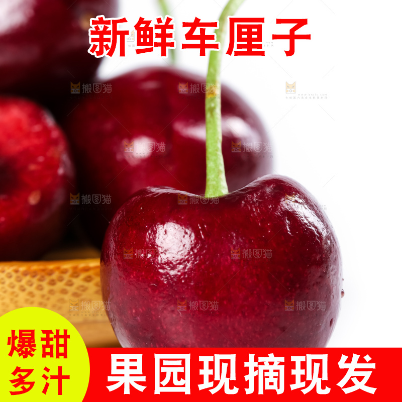 白底上的新鲜车厘子
