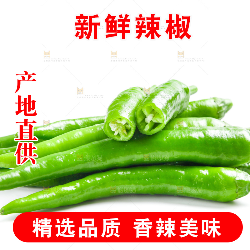 白底上摆放着新鲜杭椒