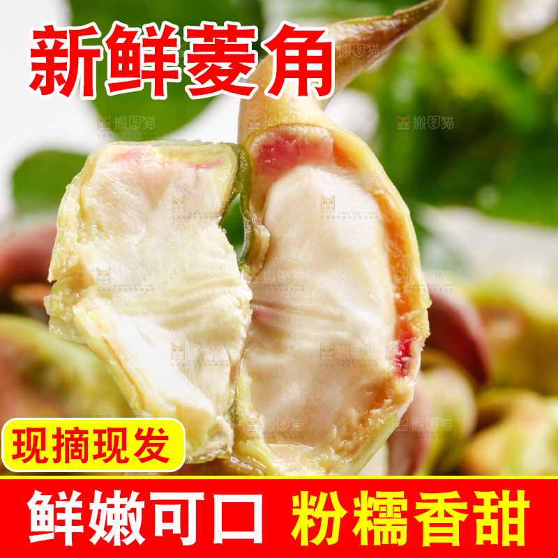 手里拿着新鲜菱角
