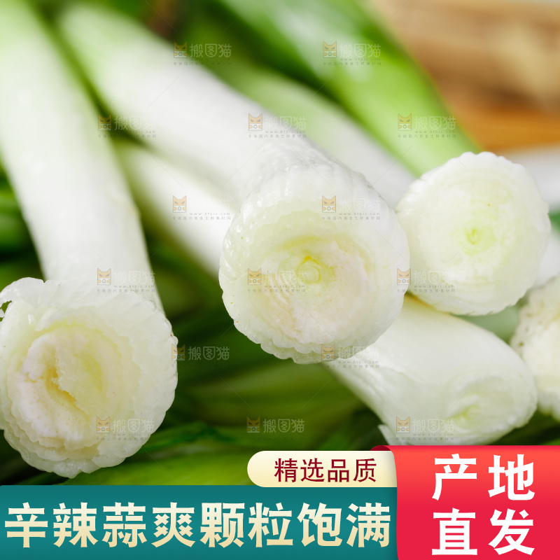 深底上的蒜苗