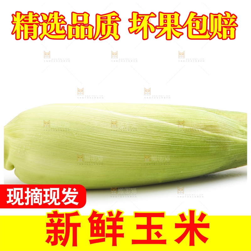 白底上放着黄玉米