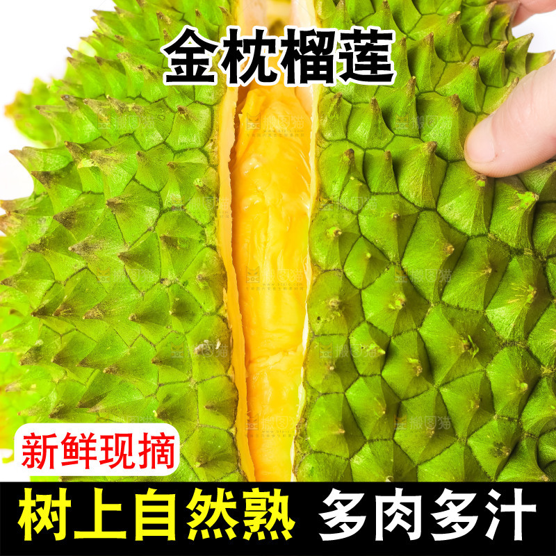 白底上放着泰国金枕榴莲