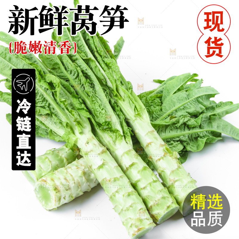白底上的莴笋
