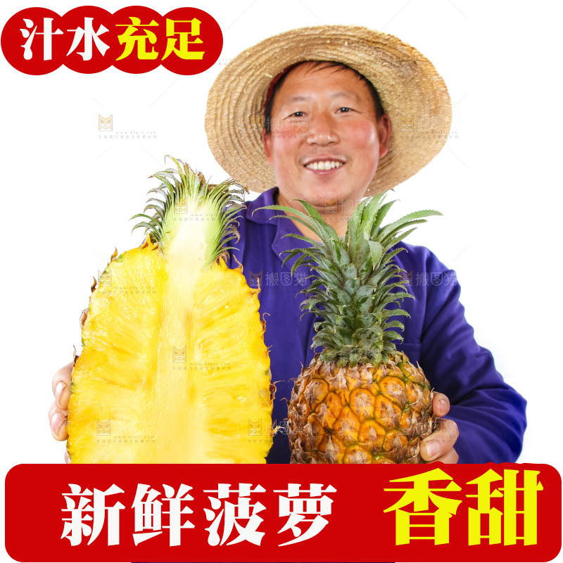农民手里拿着香水菠萝