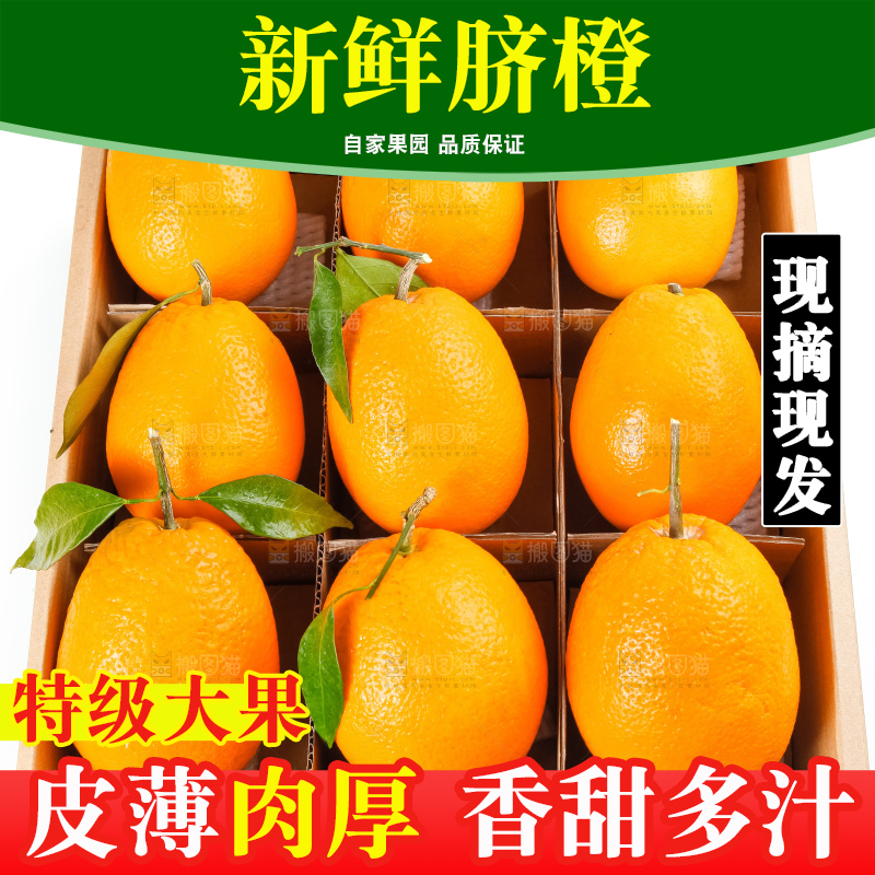 箱子里装着新鲜橙子