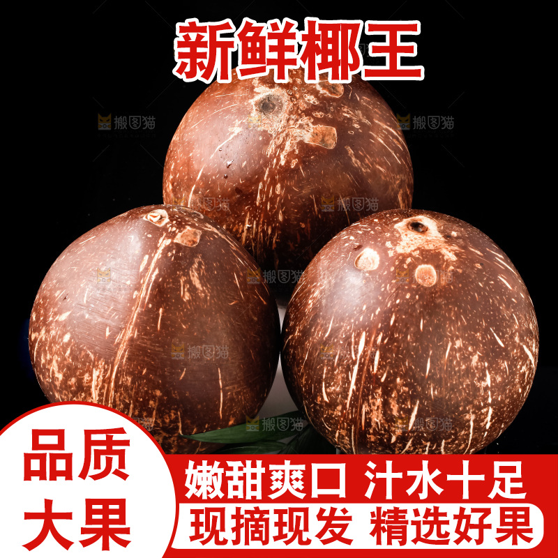 黑底上放着海南椰皇