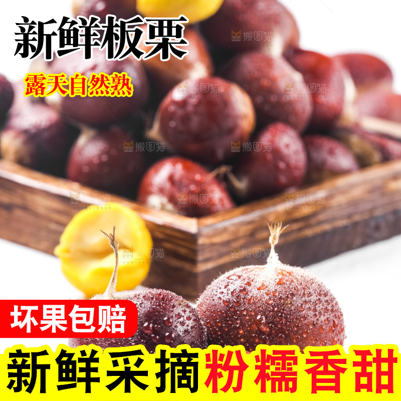 浅底上的板栗