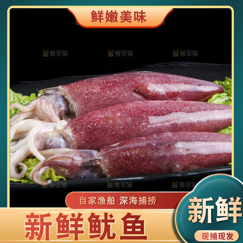 黑底上的鱿鱼筒