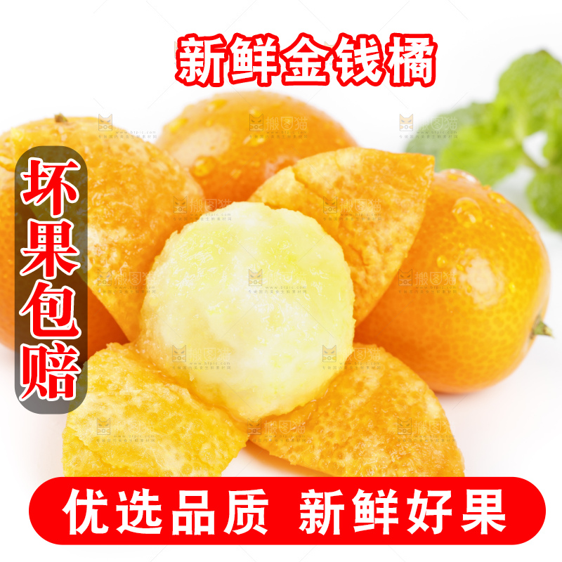 白底上的金桔