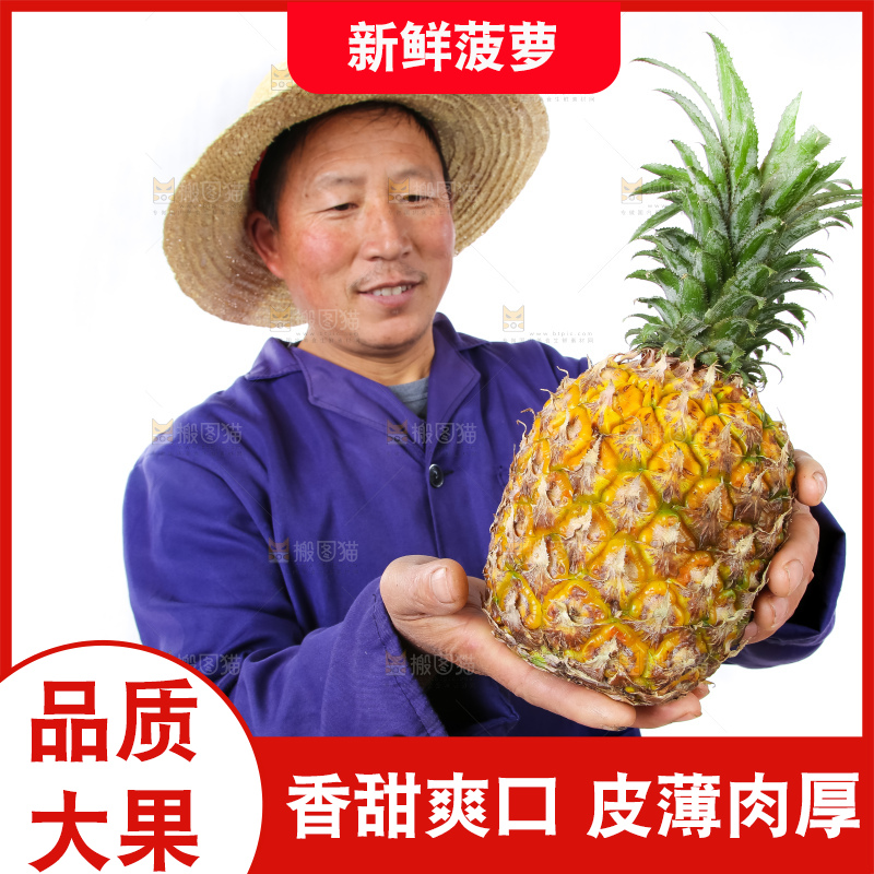 农民手里拿着香水菠萝