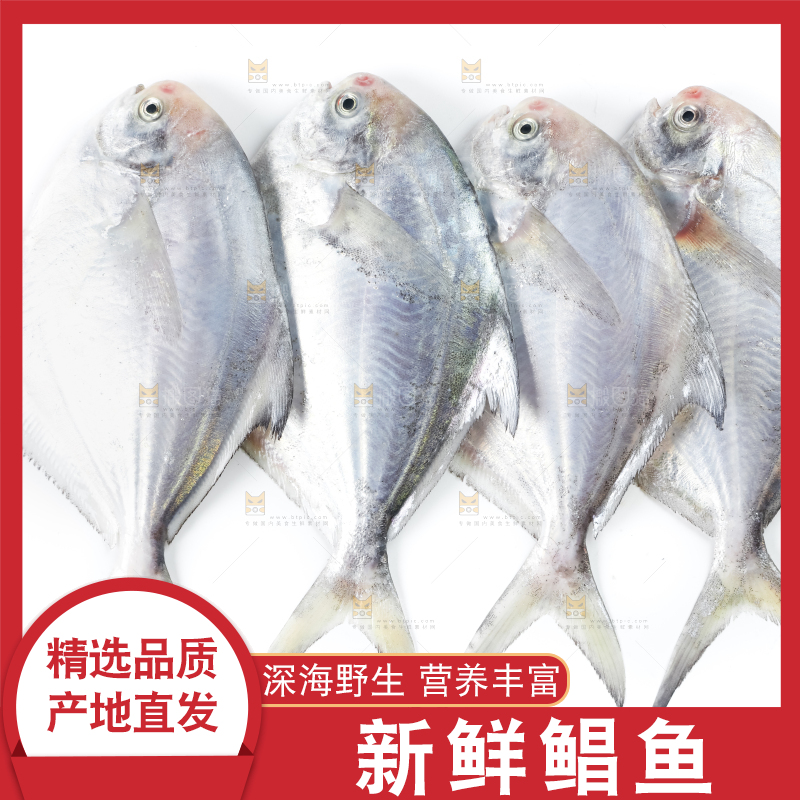 白底上放着银鲳鱼