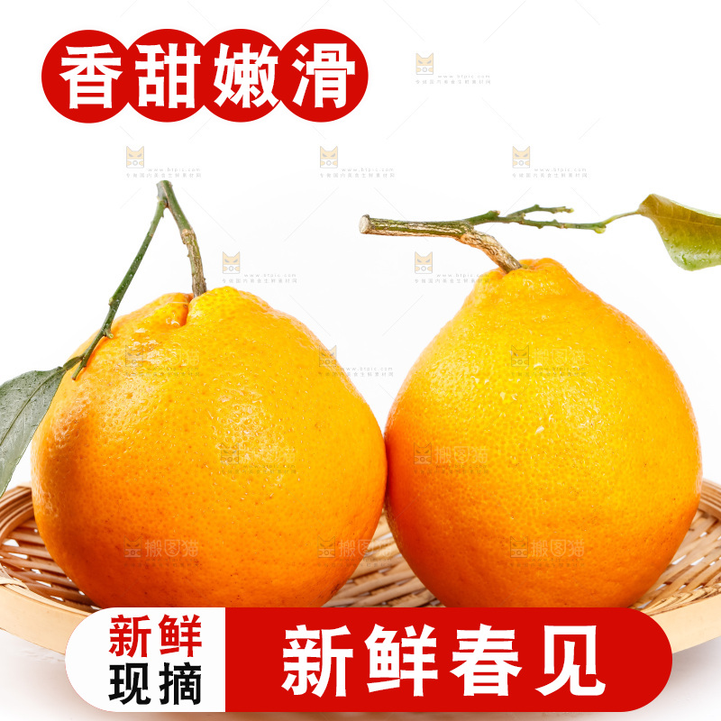 白底上的春见耙耙柑
