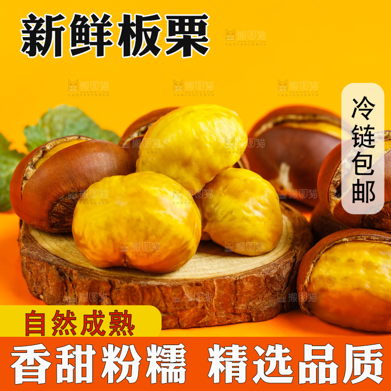 黄底上的迁西板栗