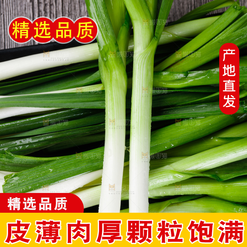 深底上的蒜苗