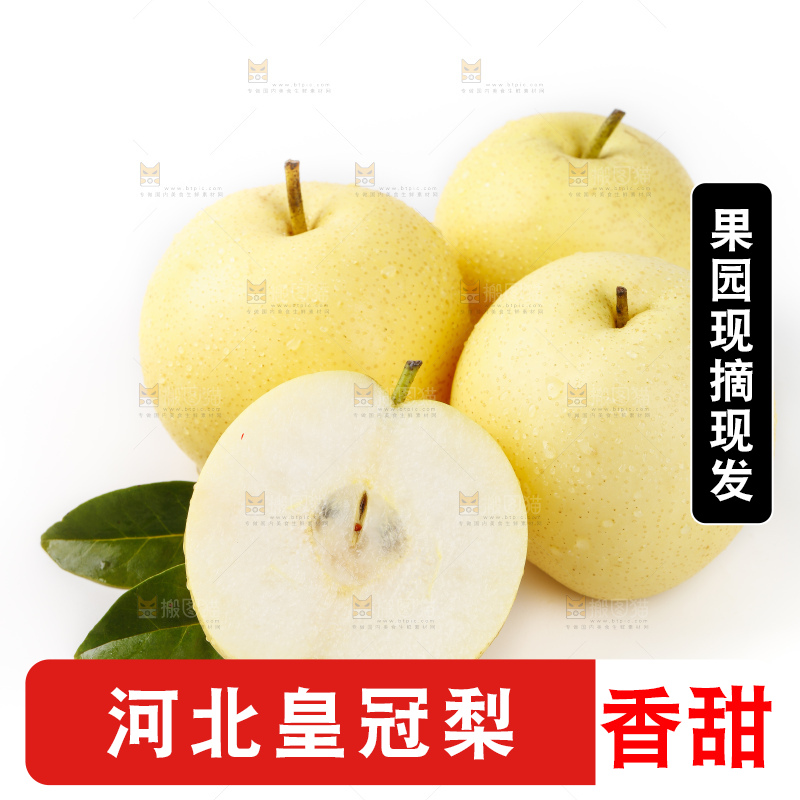 白底上的冰糖梨