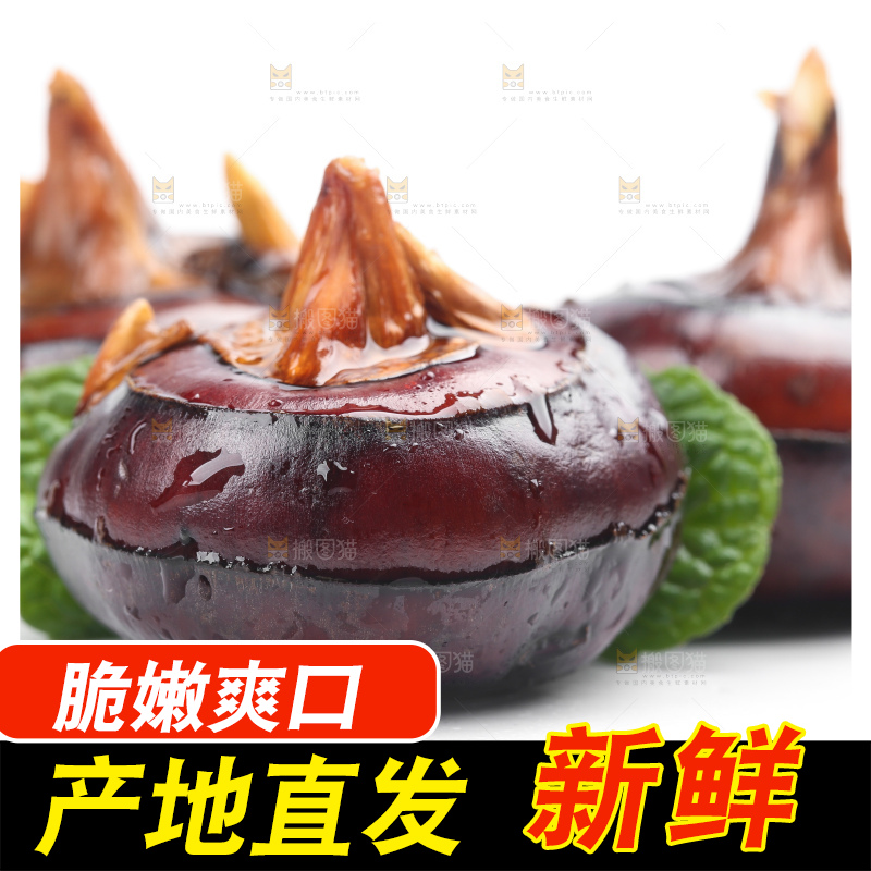 白底上放着广西马蹄