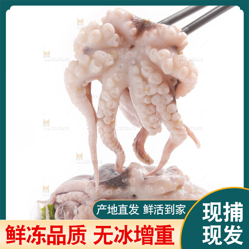 筷子上夹着八爪鱼