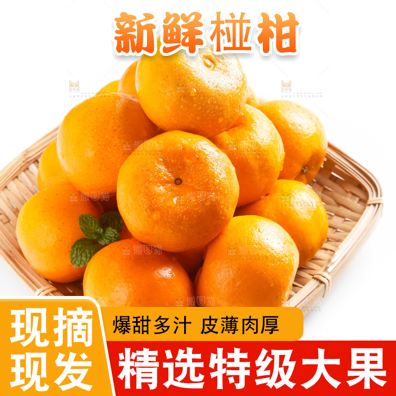 白底上摆放着椪柑橘