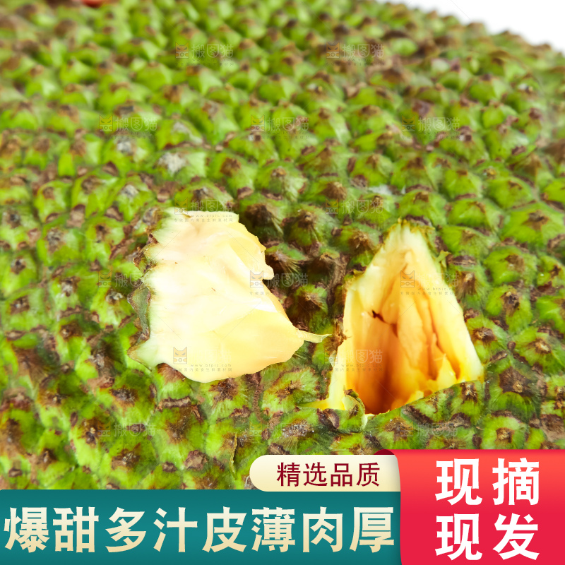 白底上的越南菠萝蜜