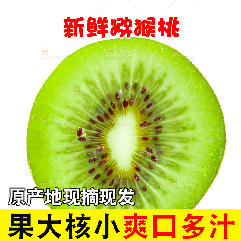 白底上的陕西猕猴桃