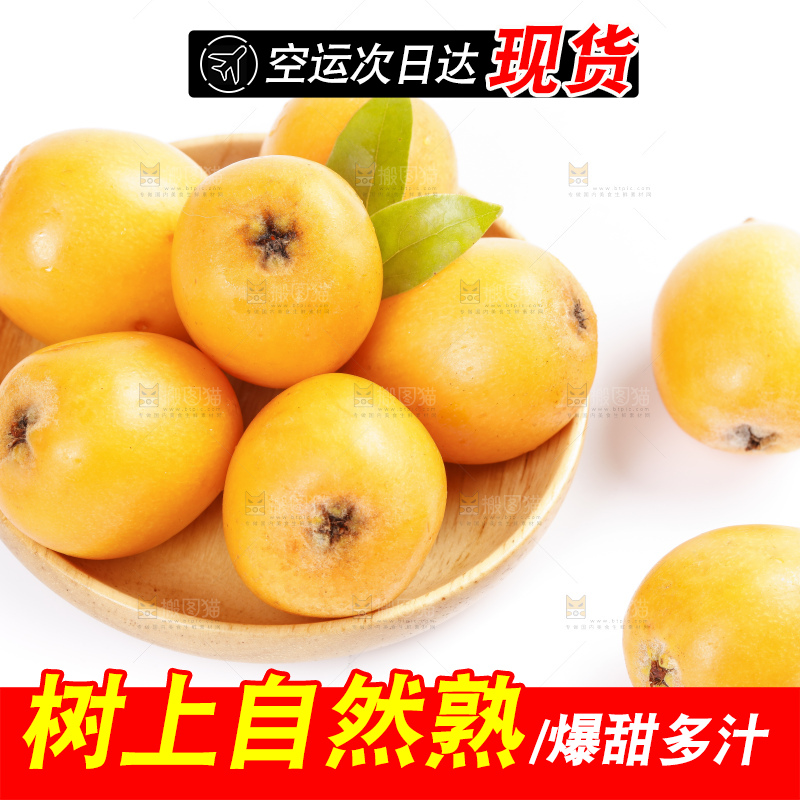 白底上的米易枇杷