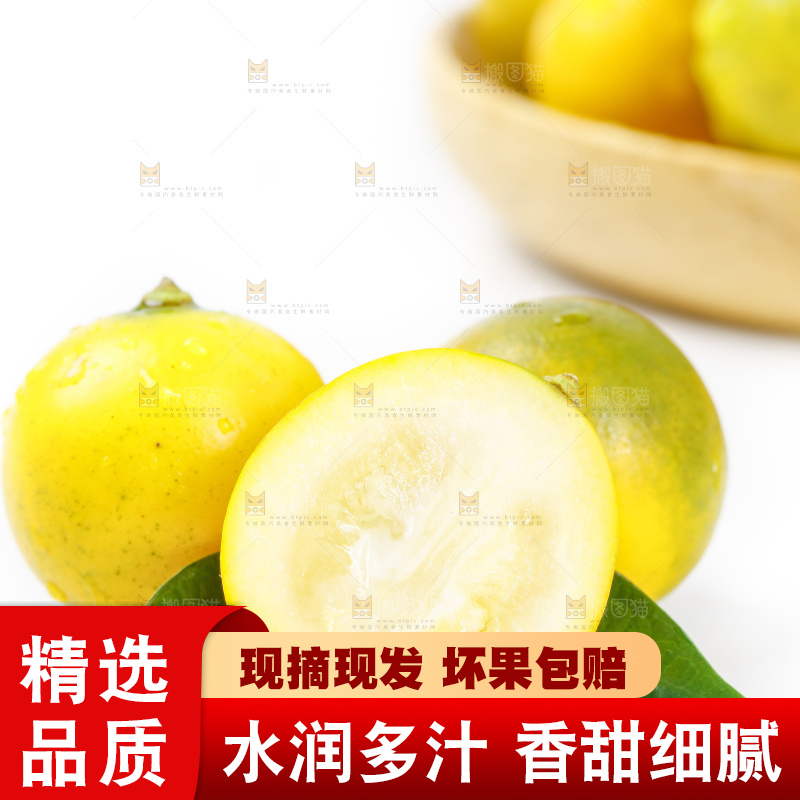 白底上的广西脆皮金桔