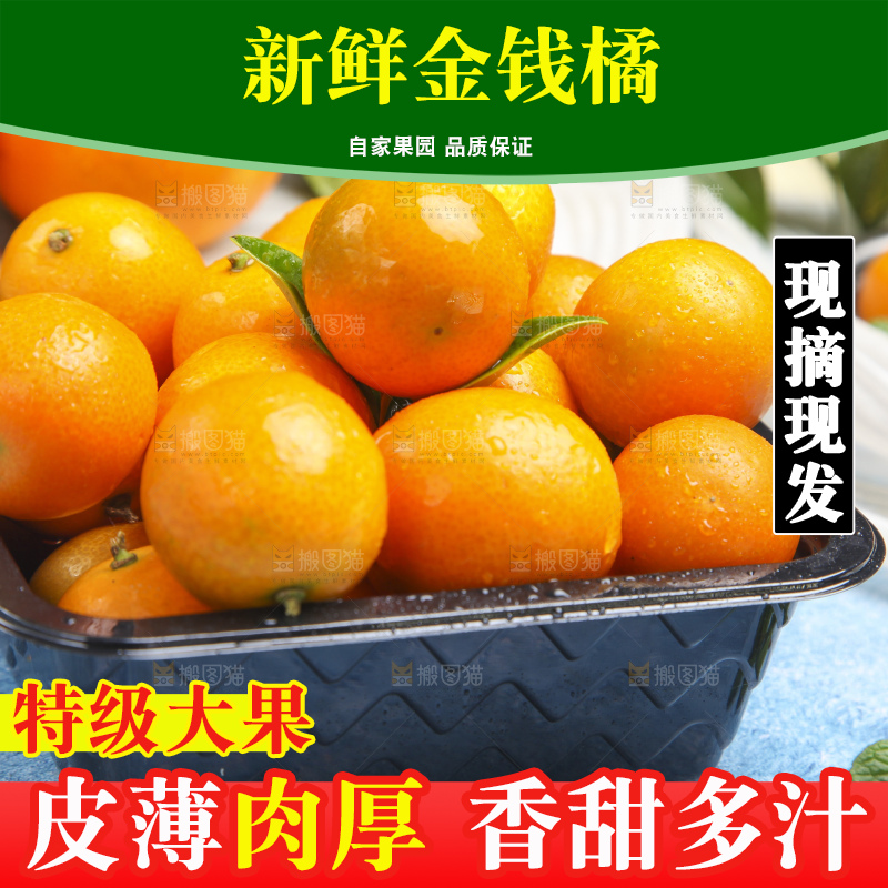 盒子里装着小金桔