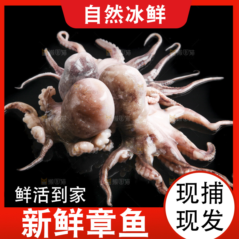 黑底上的八爪鱼