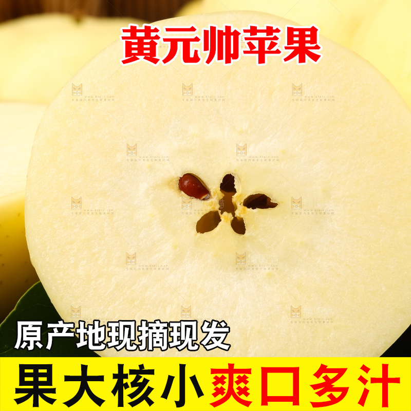 石板上的烟台黄金帅