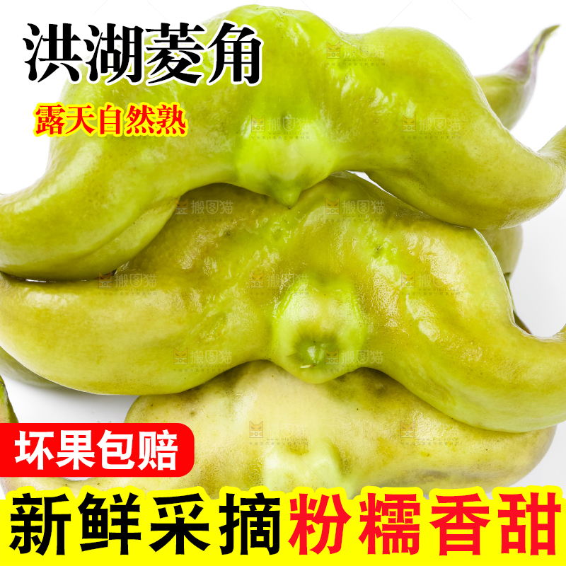 浅底上的新鲜菱角
