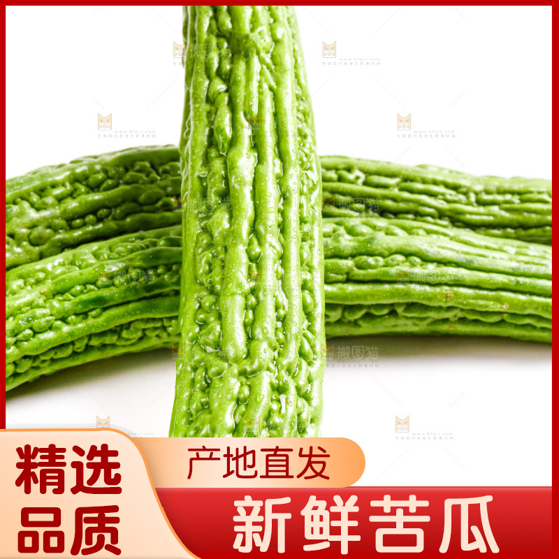 白底上摆放着新鲜苦瓜