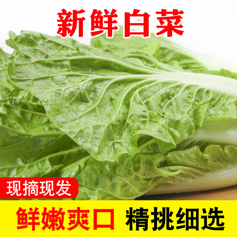 木板上的新鲜白菜