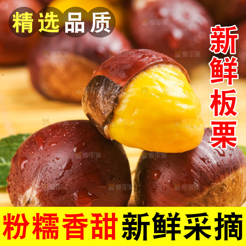 深底上的迁西板栗