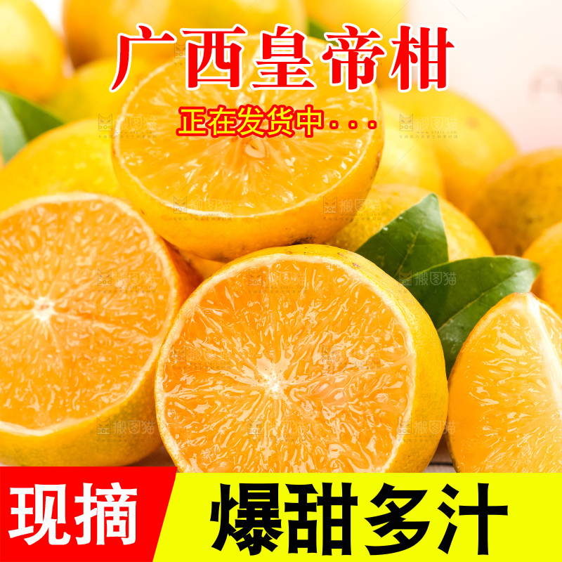 格子底上放着一堆新鲜的贡柑