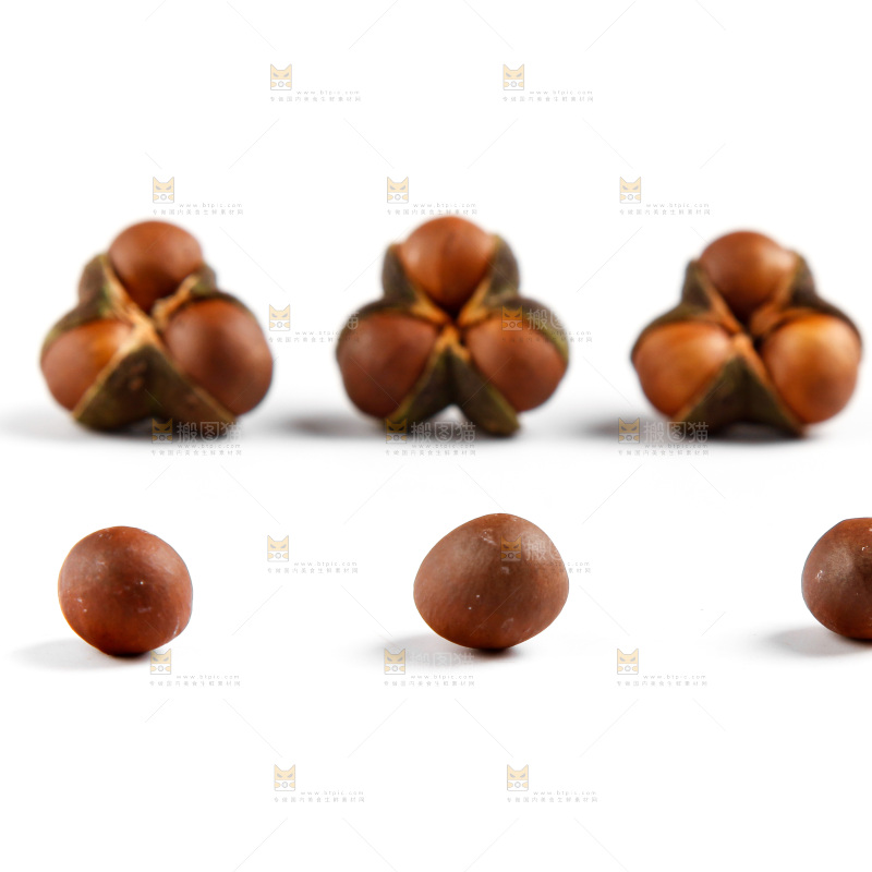 白底上的茶树果