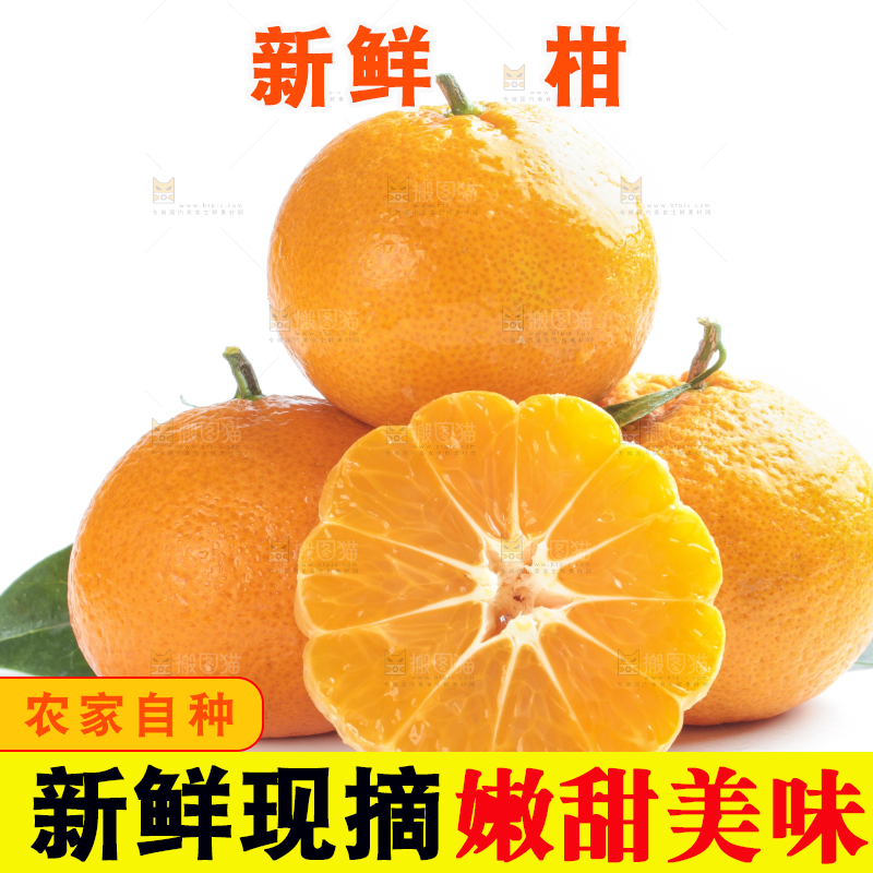 白底上放着椪柑