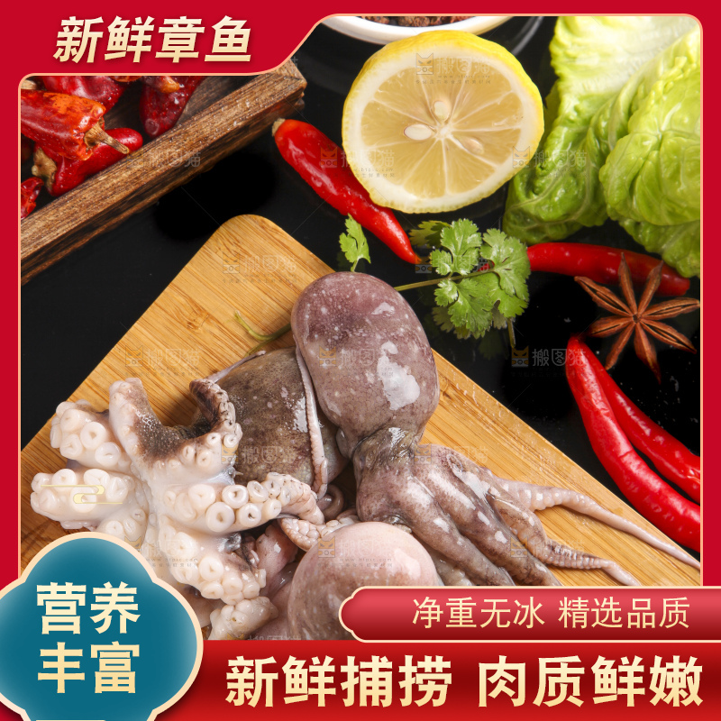 木板上的大连章鱼