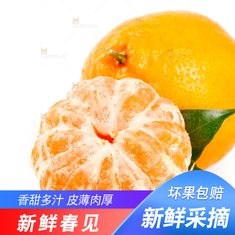 白底上放着耙耙柑