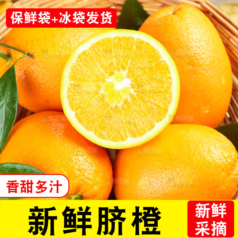 篮子里装着长虹脐橙