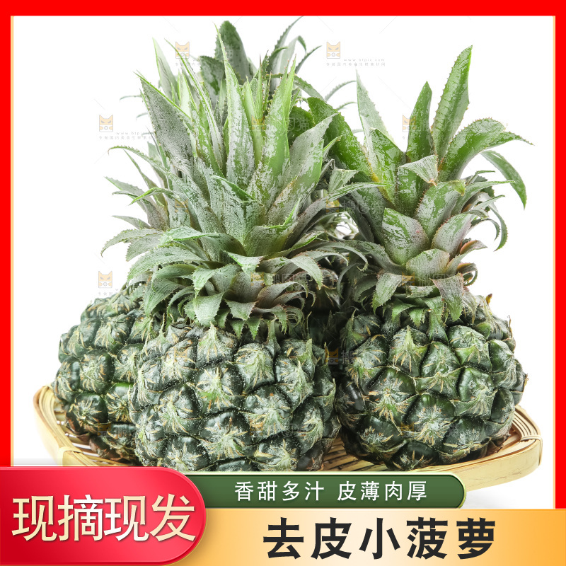 白底上的新鲜小菠萝