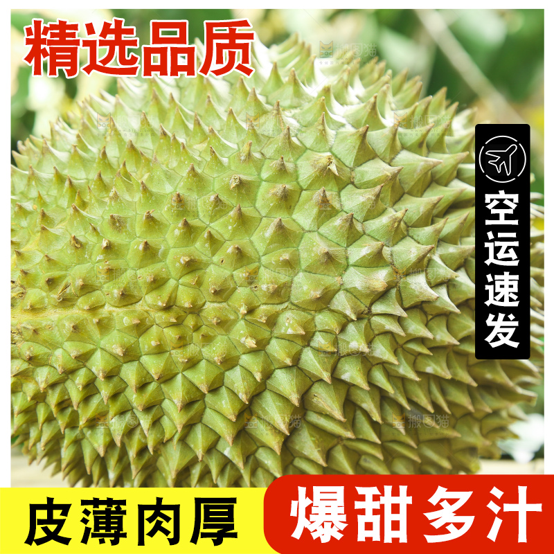木板上的金枕头榴莲