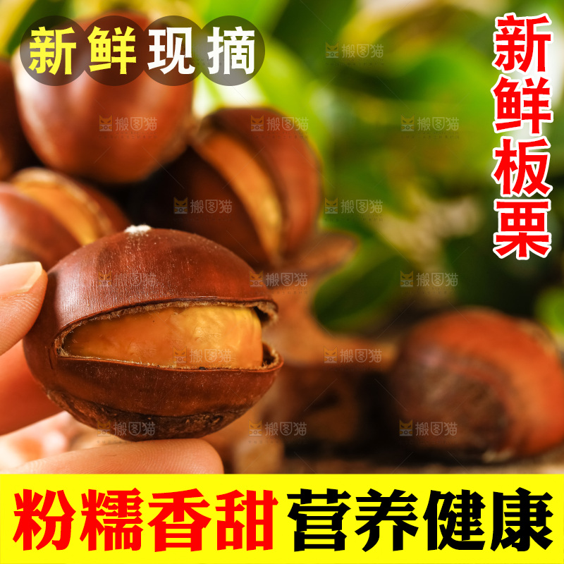 深底上的迁西板栗