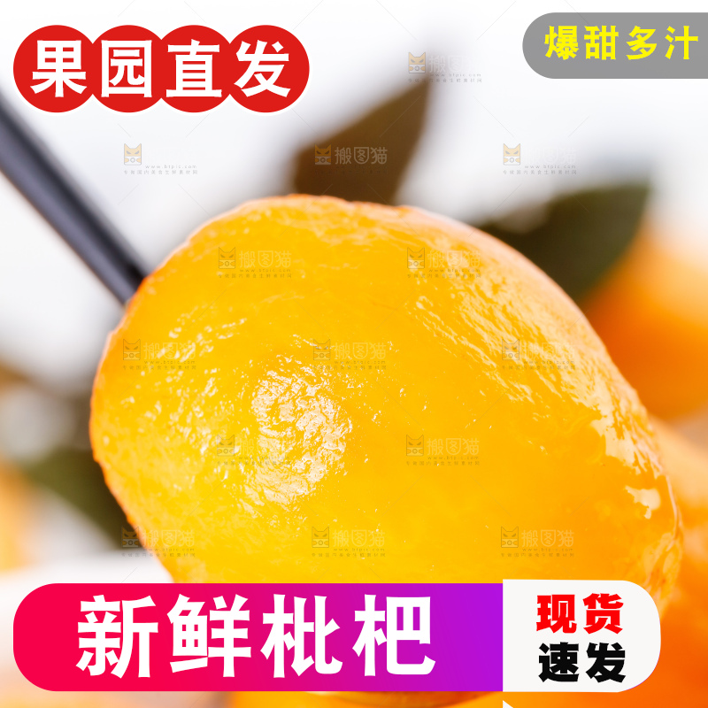 碗里的攀枝花米易枇杷