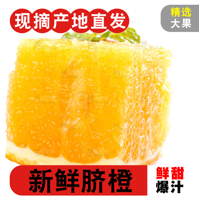 白底上的高山甜橙