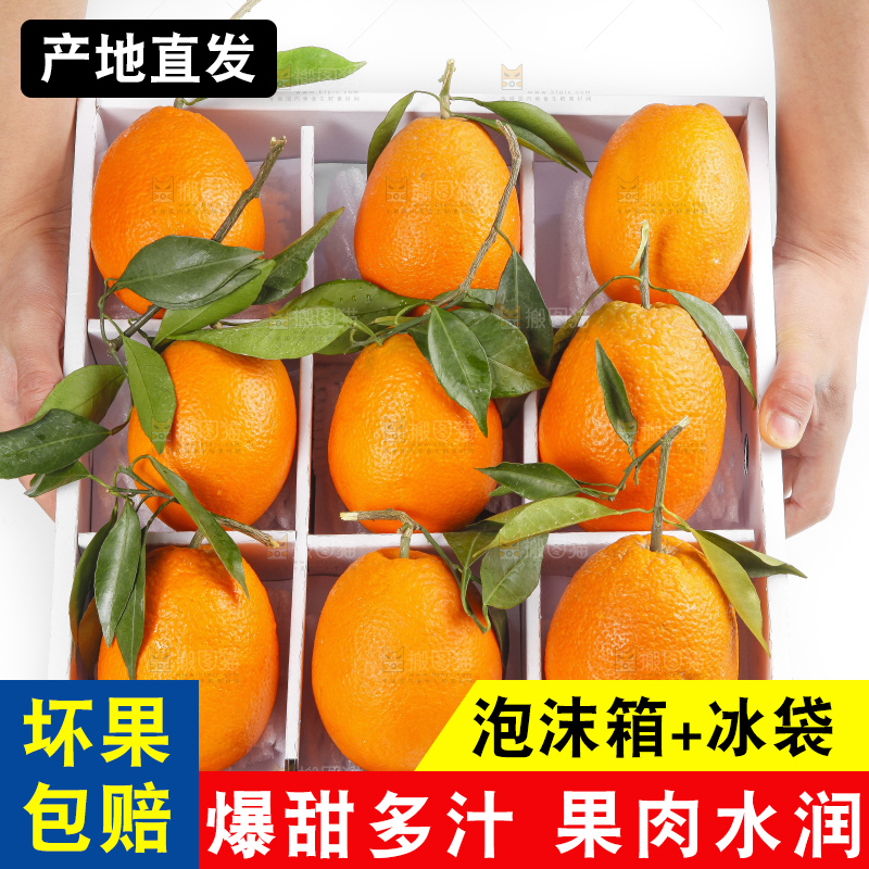 箱子里装着脐橙