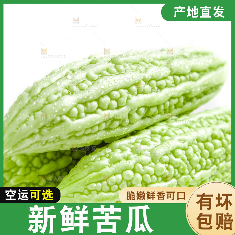 白底上摆放着新鲜苦瓜
