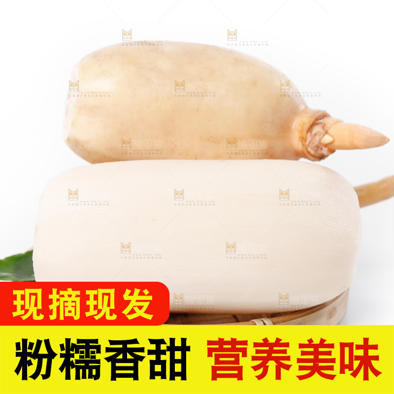 白底上一堆湖北洪湖莲藕