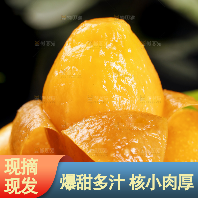 黑底上的米易枇杷