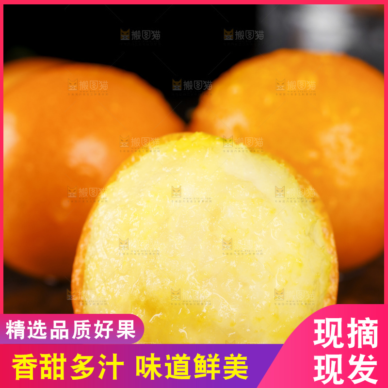 黑底上的小金桔