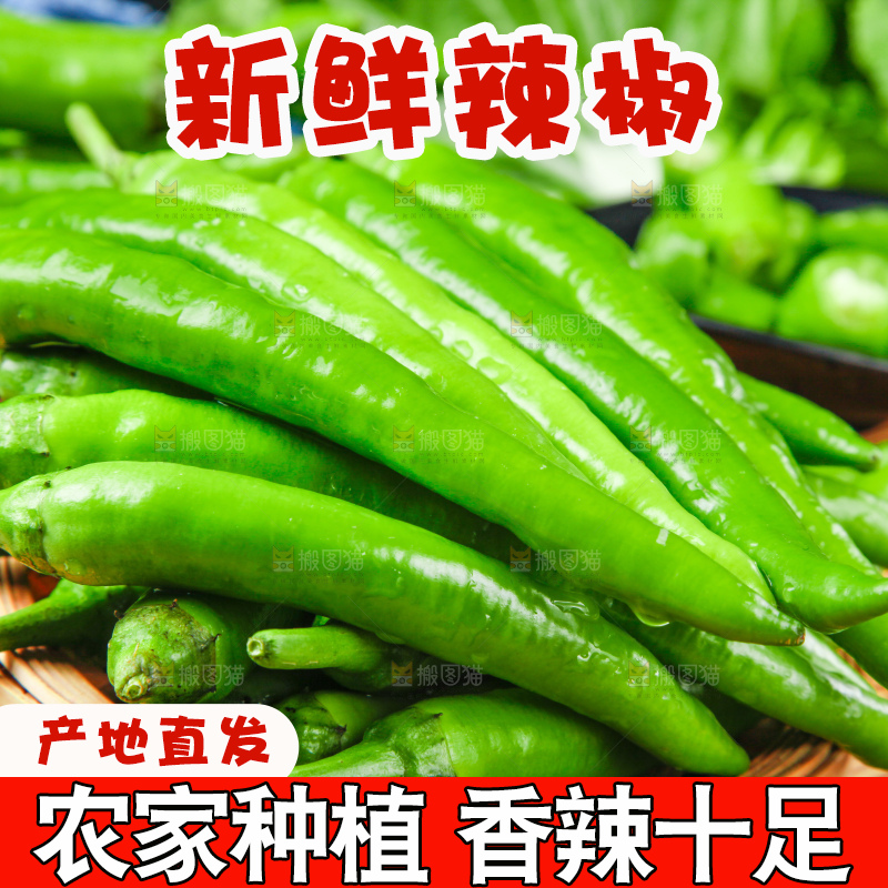 木底上放着杭椒